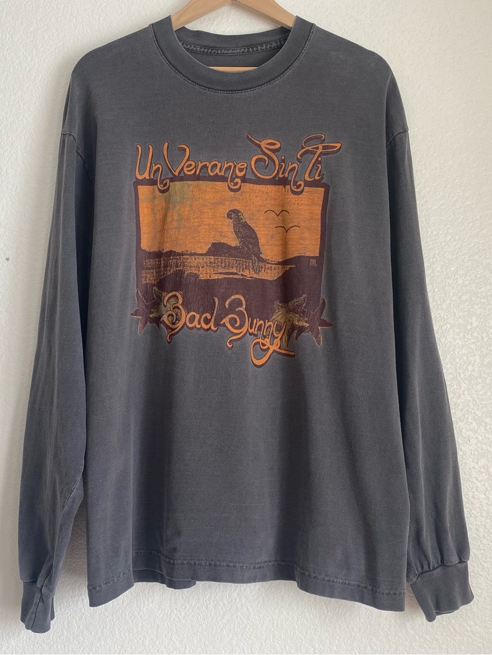 Un Verano Sin Ti Bad Bunny long sleeve graphic t-shirt, grey, L